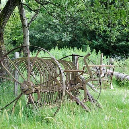 Hendre Aled Cottage 1 Llansannan Exteriér fotografie