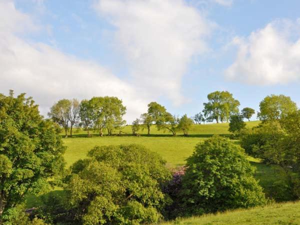 Hendre Aled Cottage 1 Llansannan Exteriér fotografie